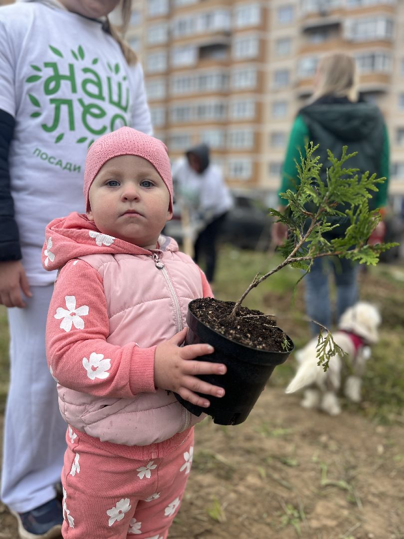 экологическая акция, экология, руза, рузский округ, наш лес, московская область, подмосковье,