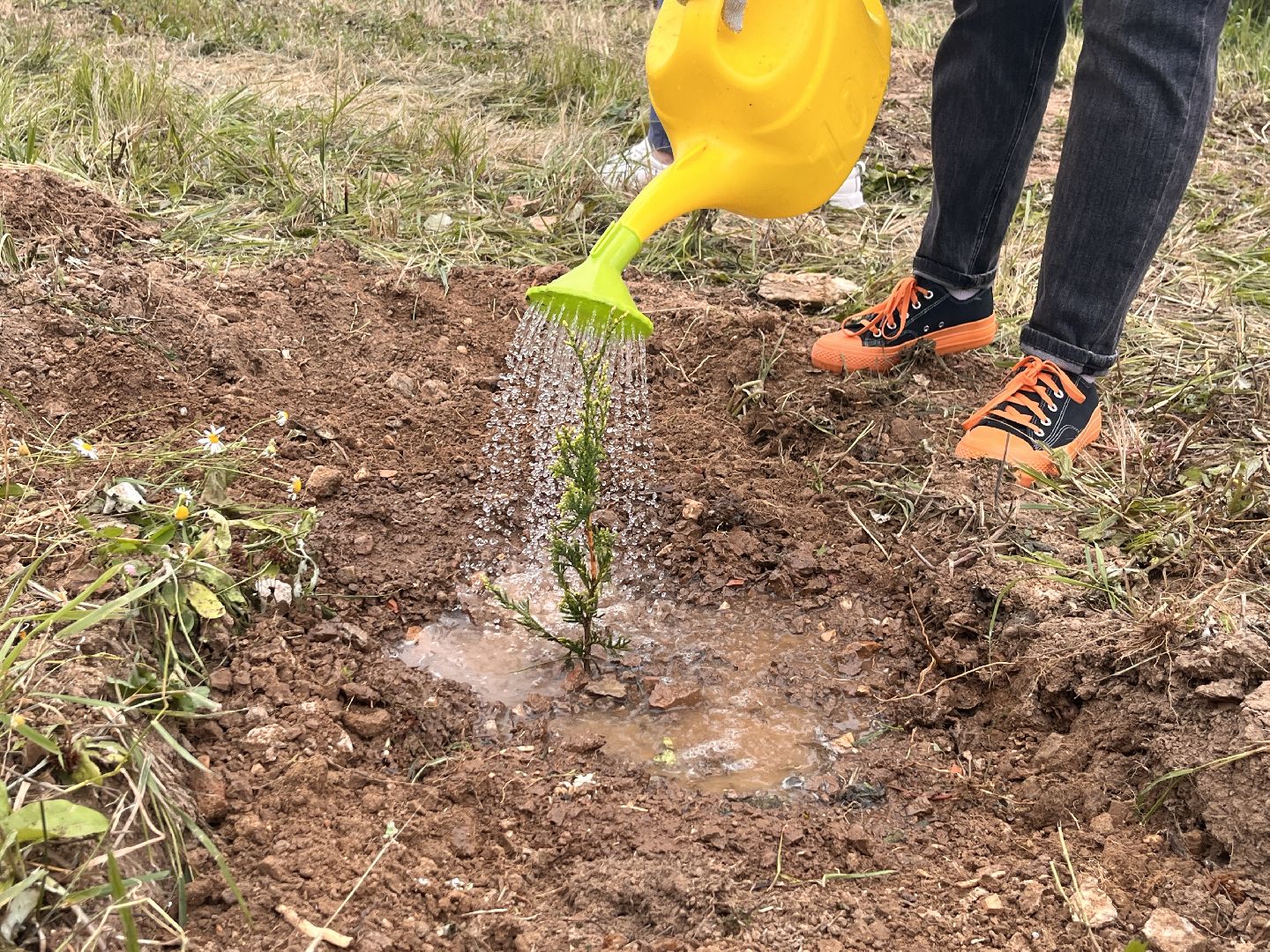 экологическая акция, экология, руза, рузский округ, наш лес, московская область, подмосковье,