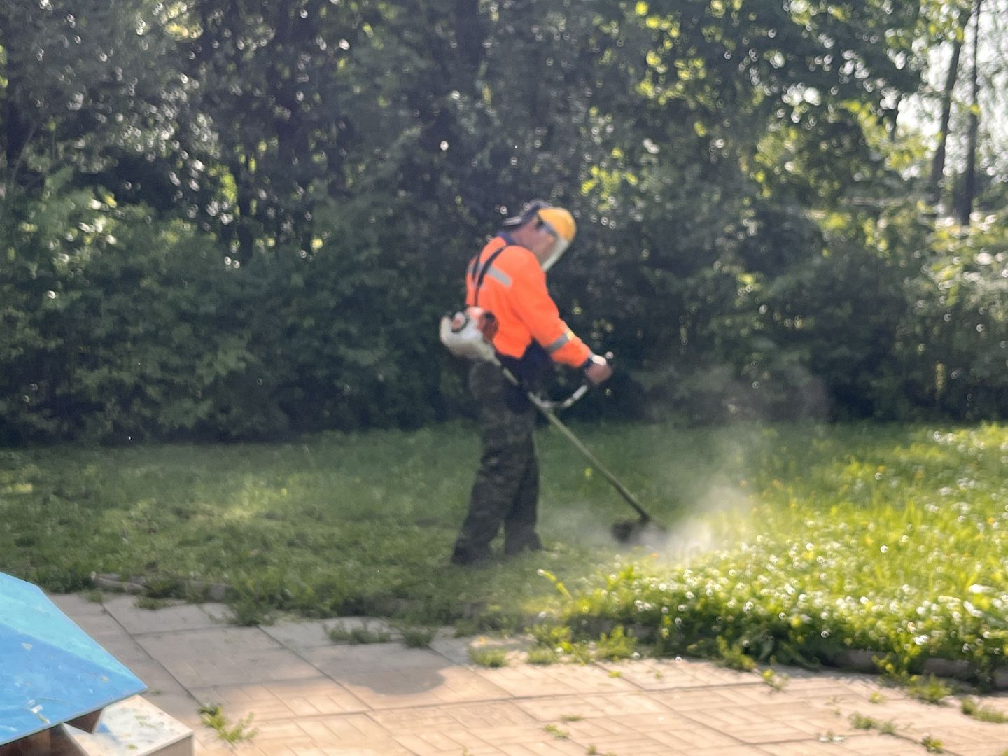 благоустойство, руза, рузский городской округ, школьники, московская область, подмосковье, образование,