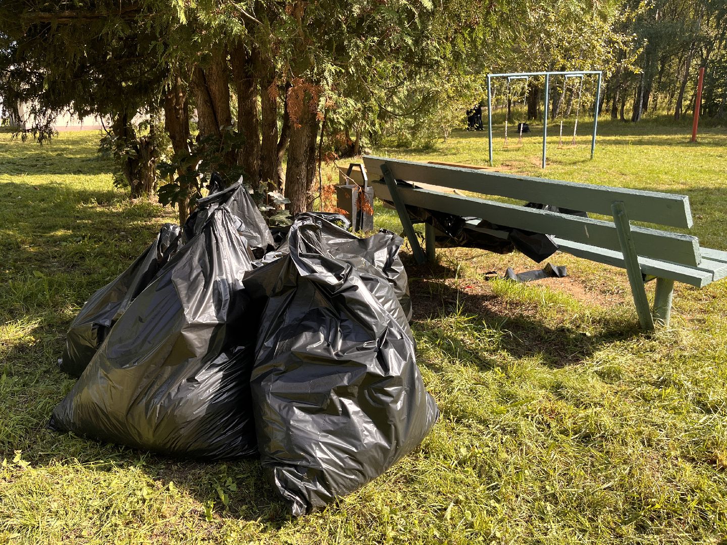 благоустойство, руза, рузский городской округ, школьники, московская область, подмосковье, образование,