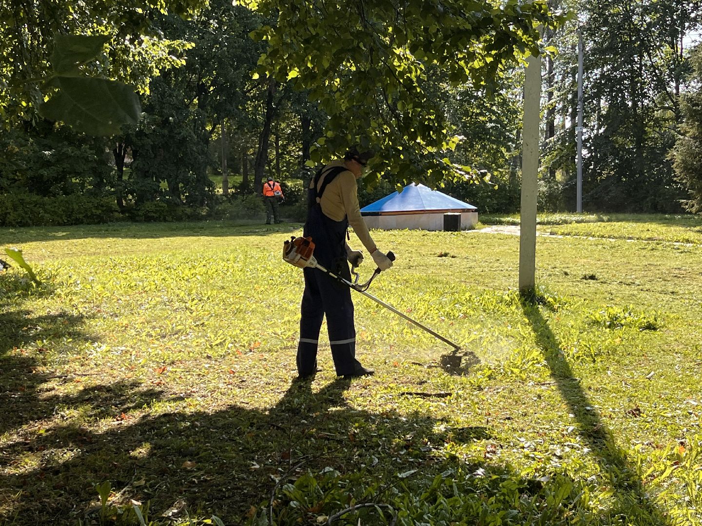 благоустойство, руза, рузский городской округ, школьники, московская область, подмосковье, образование,