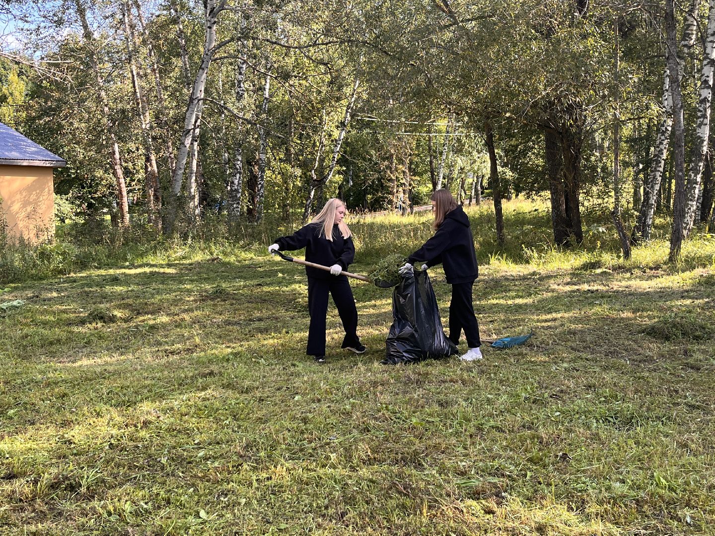 благоустойство, руза, рузский городской округ, школьники, московская область, подмосковье, образование,
