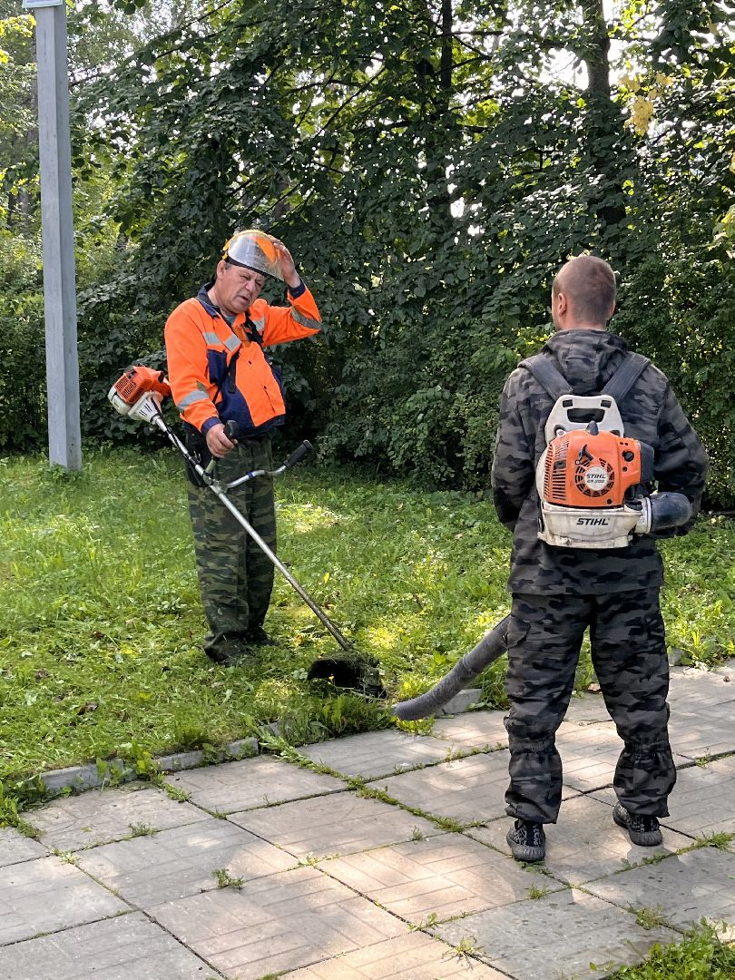 благоустойство, руза, рузский городской округ, школьники, московская область, подмосковье, образование,