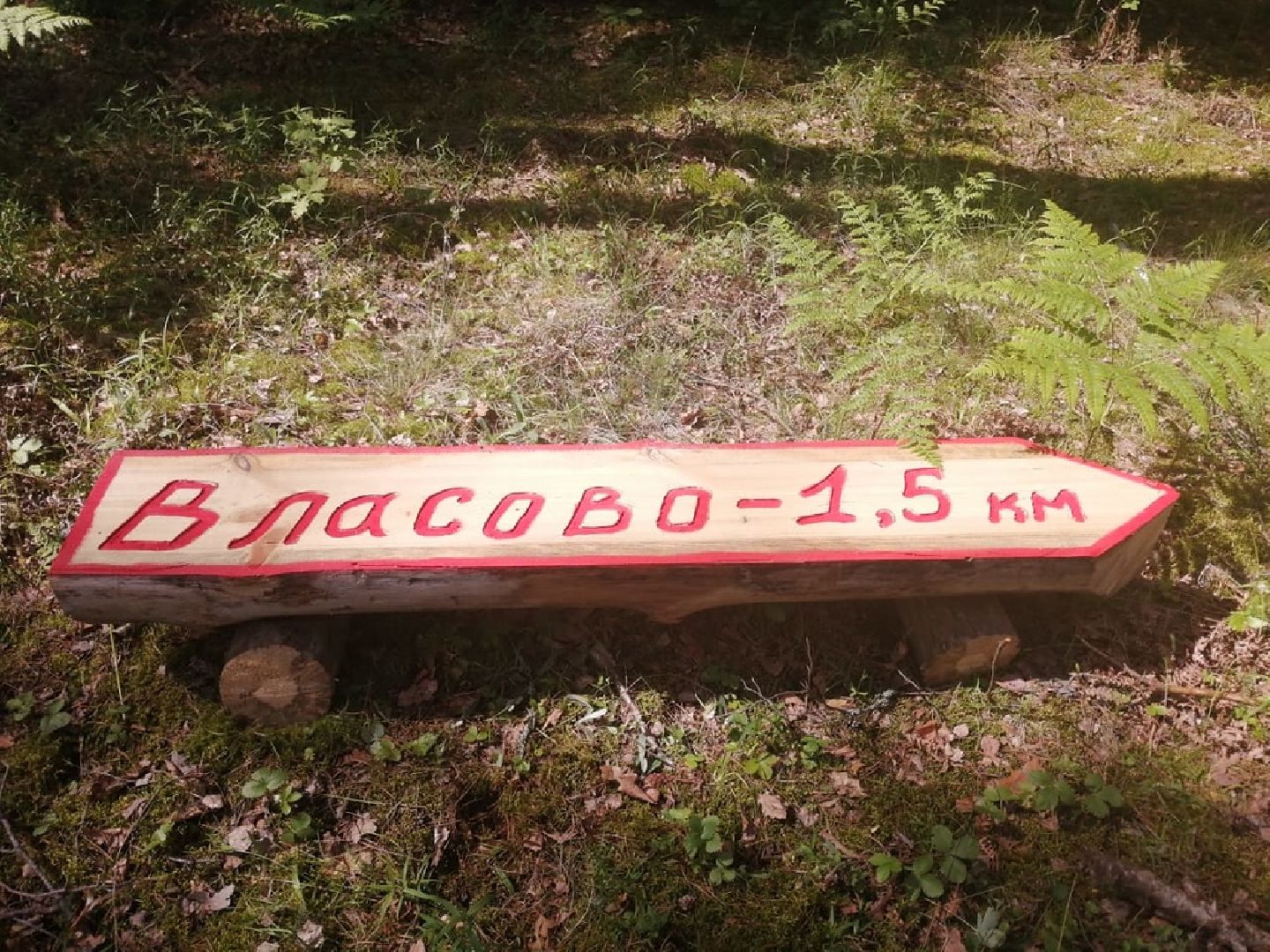 Шатура, лесничий, Кривандинское лесничество, день работников леса, Мособллес,