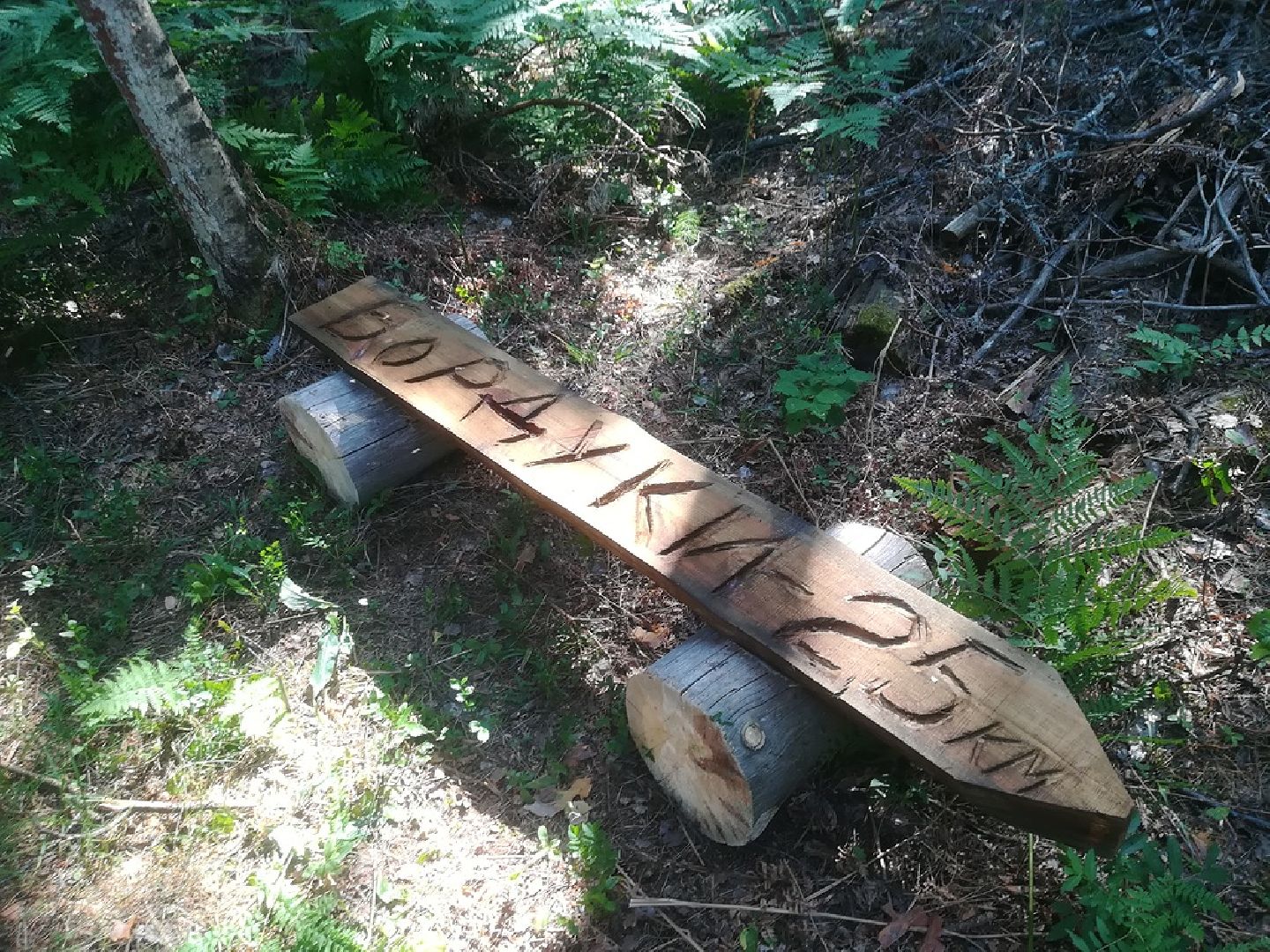 Шатура, лесничий, Кривандинское лесничество, день работников леса, Мособллес,