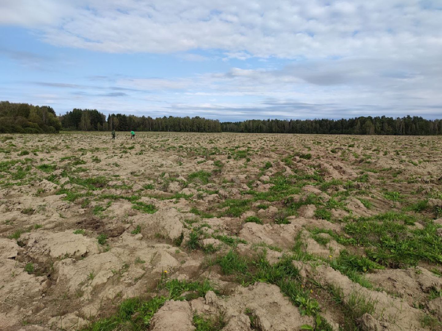 Поисковое движение, наро-фоминск, подмосковье, поисковикимо, Защитники Родины, Битва за Москву, великая отечественная война,