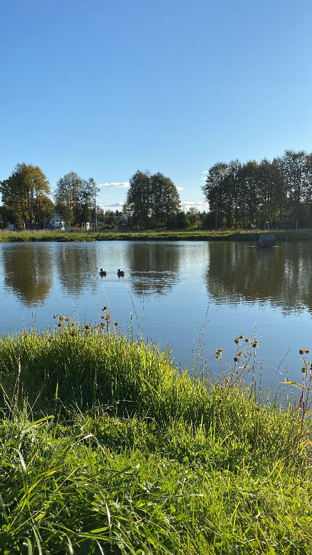 волоколамск, пруд, благоуйстройство, жители, город, общество,