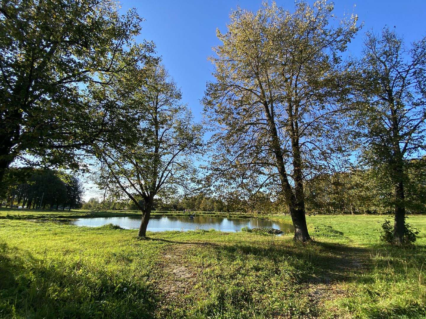 волоколамск, пруд, благоуйстройство, жители, город, общество,