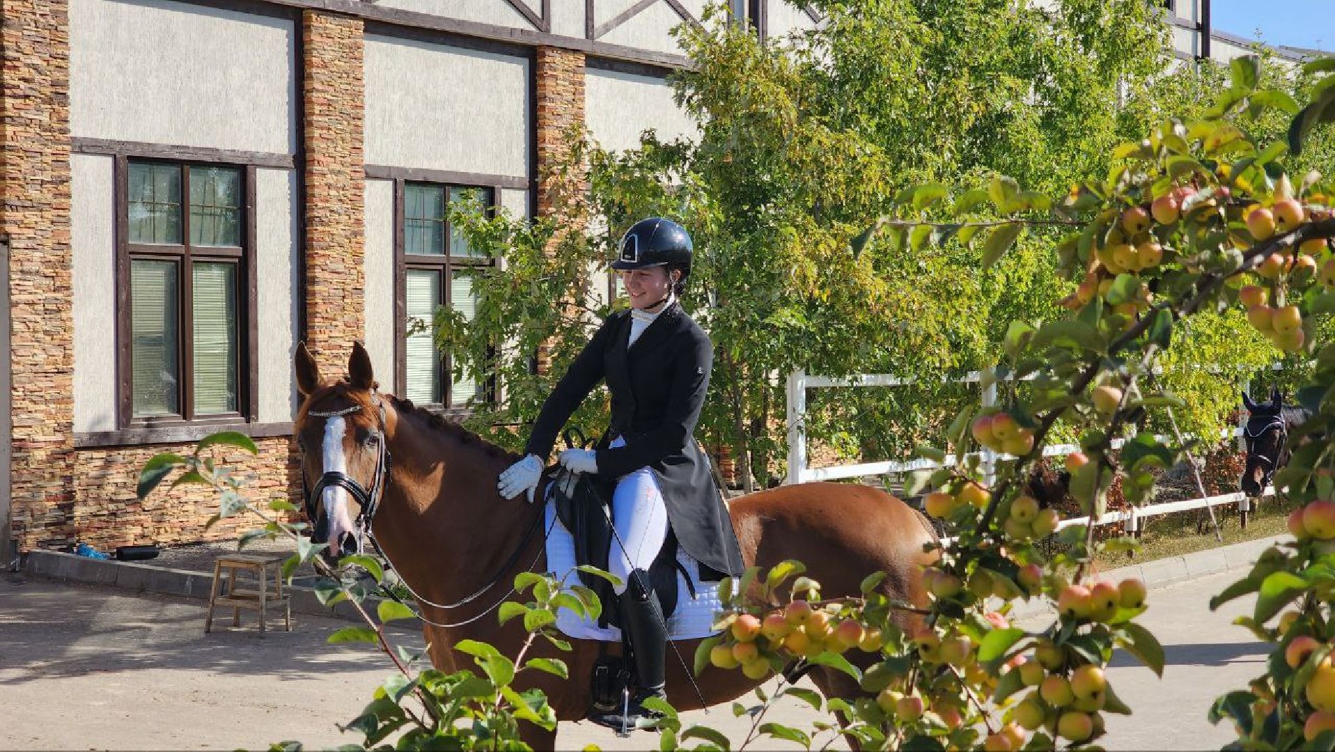 дмитров, спорт, максима парк,