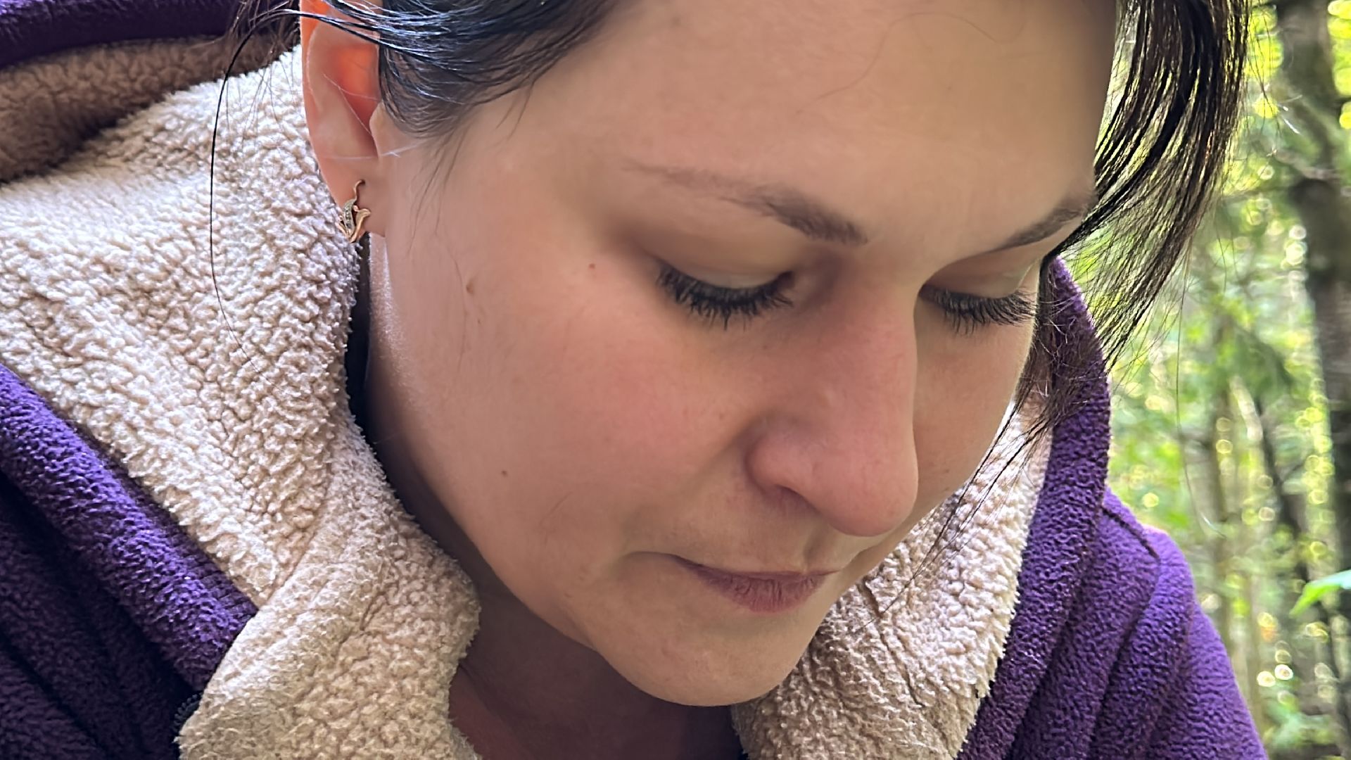 Одинцово, Опята, Сбор грибов, Экология, Звенигород, опята, опёнок, ядовитые грибы, шампиньоны, белые грибы диета, кулинария