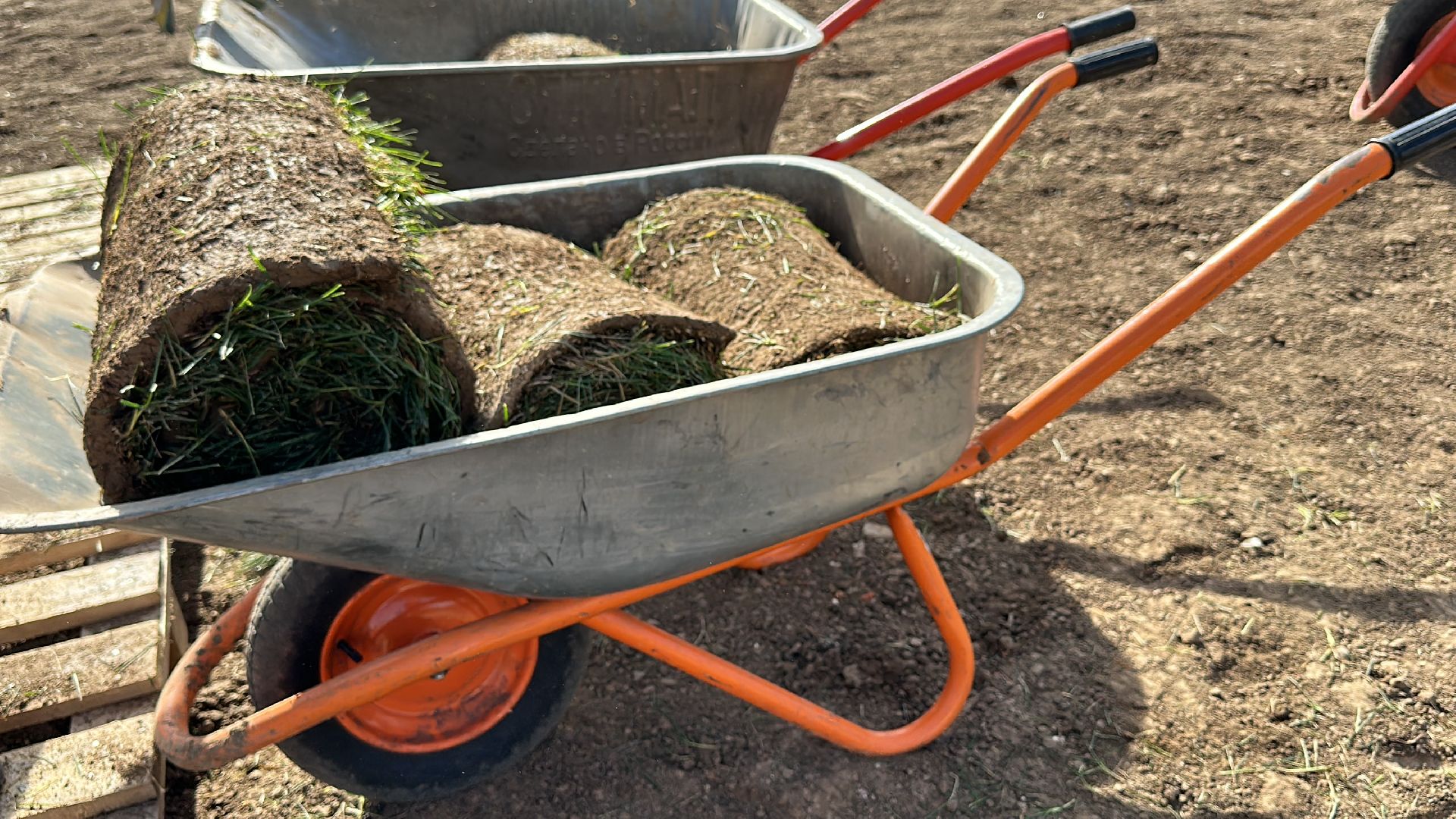 озеленение, газон, Одинцово