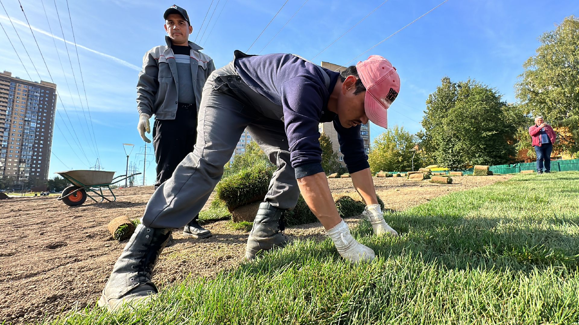 озеленение, газон, Одинцово