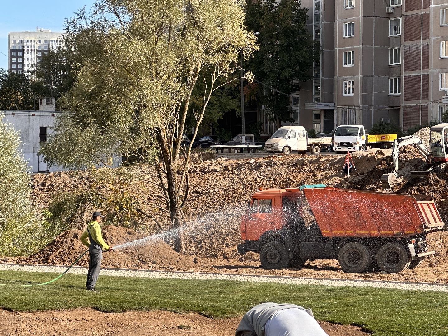 озеленение, газон, Одинцово
