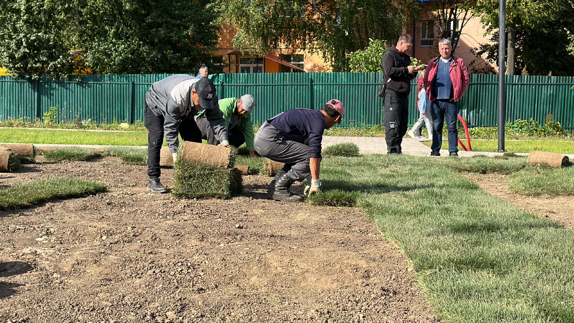 озеленение, газон, Одинцово