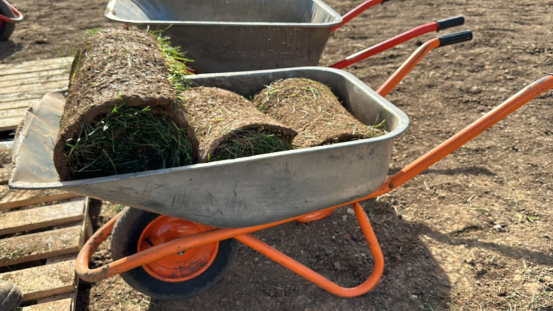 озеленение, газон, Одинцово