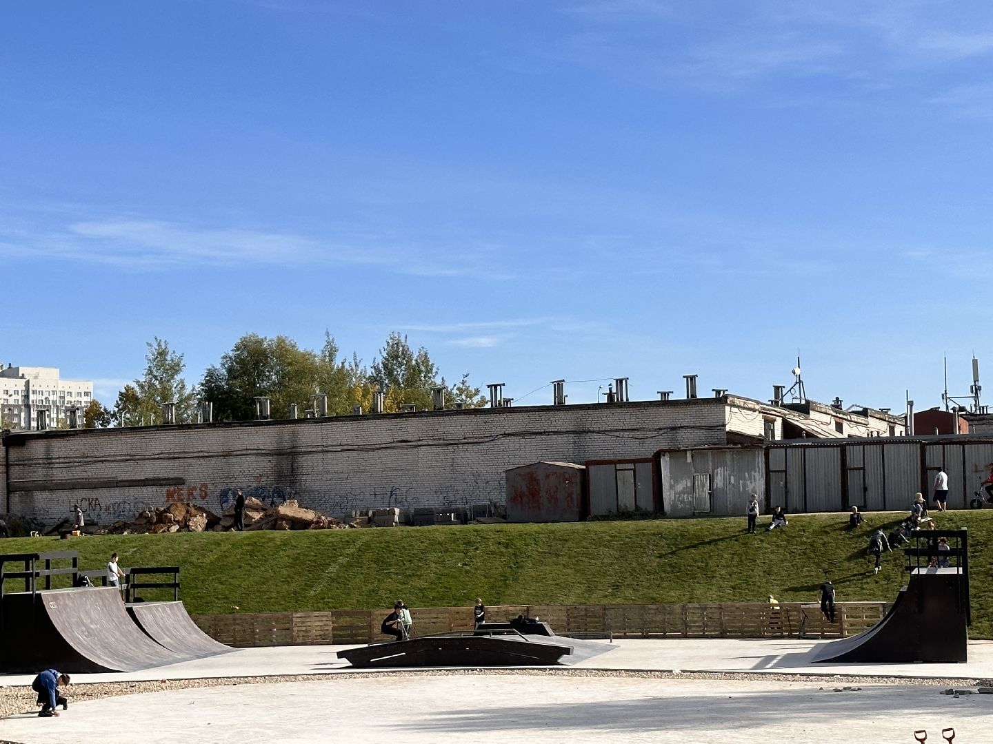 озеленение, газон, Одинцово