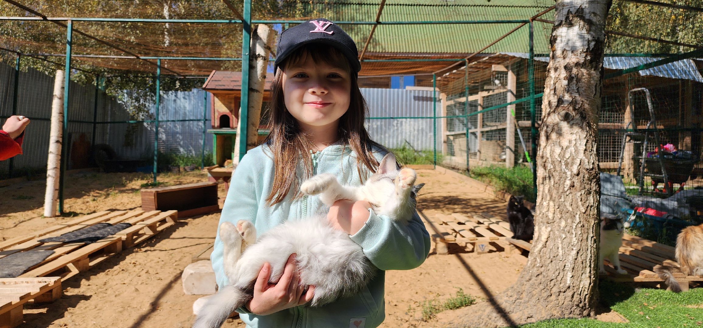 Пушкино, городской округ Пушкинский, Благотворительность, волонтеры, животные, люди, общество, приют для животных, Молодая гвардия,