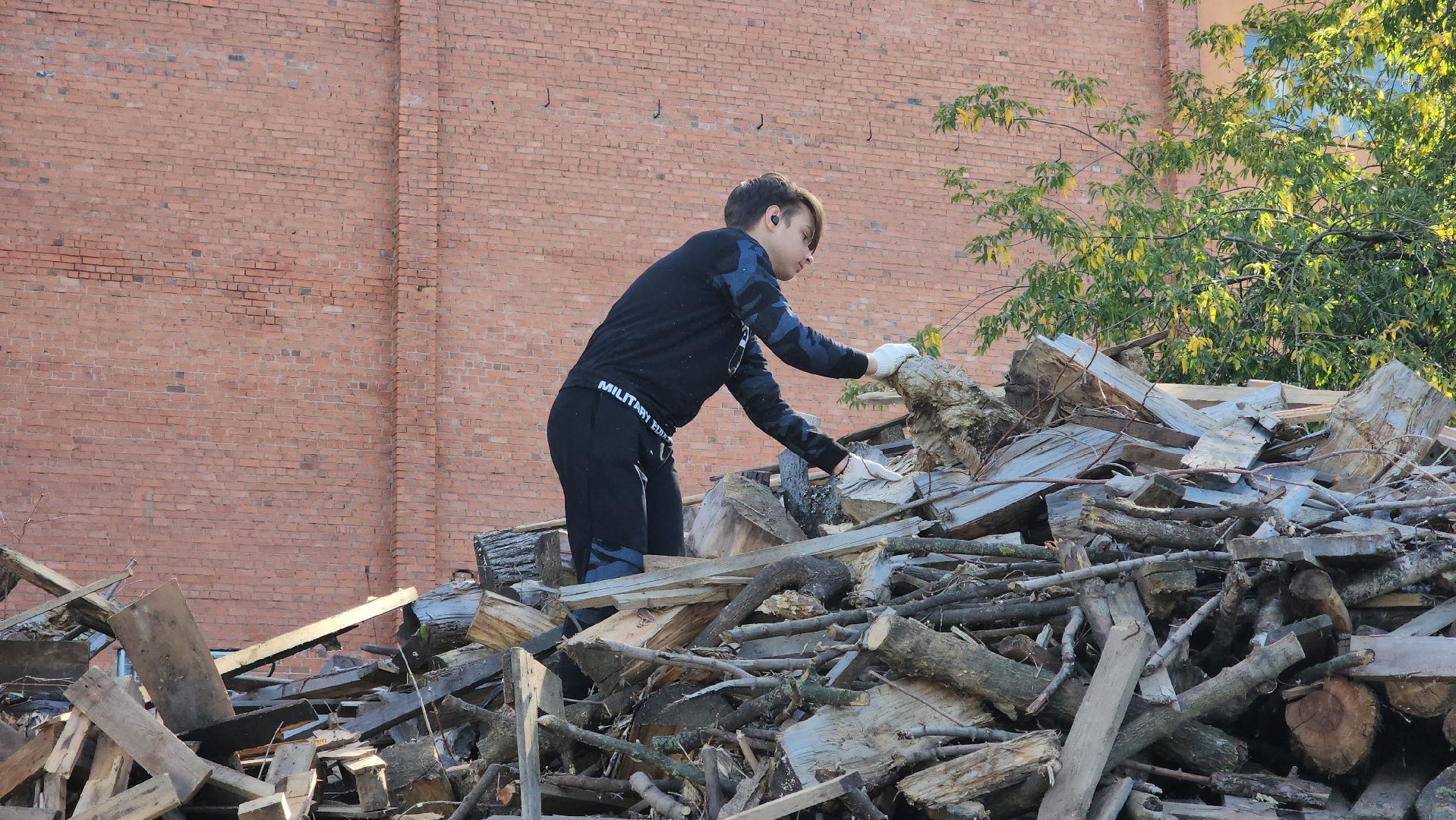 Пушкино, городской округ Пушкинский, Благотворительность, волонтеры, животные, люди, общество, приют для животных, Молодая гвардия,