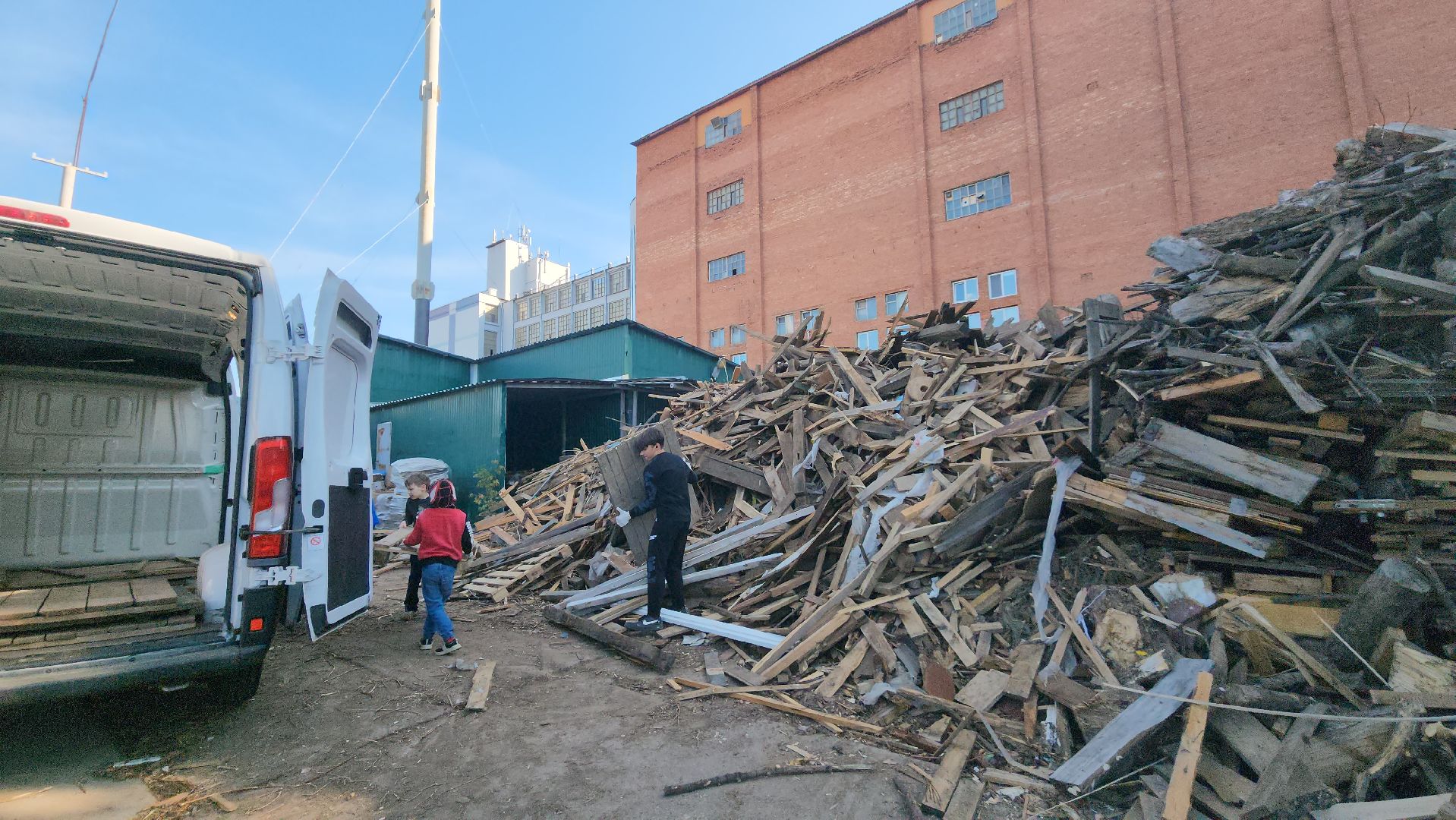 Пушкино, городской округ Пушкинский, Благотворительность, волонтеры, животные, люди, общество, приют для животных, Молодая гвардия,