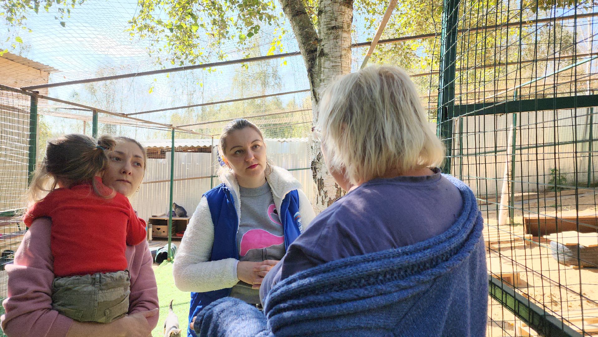 Пушкино, городской округ Пушкинский, Благотворительность, волонтеры, животные, люди, общество, приют для животных, Молодая гвардия,