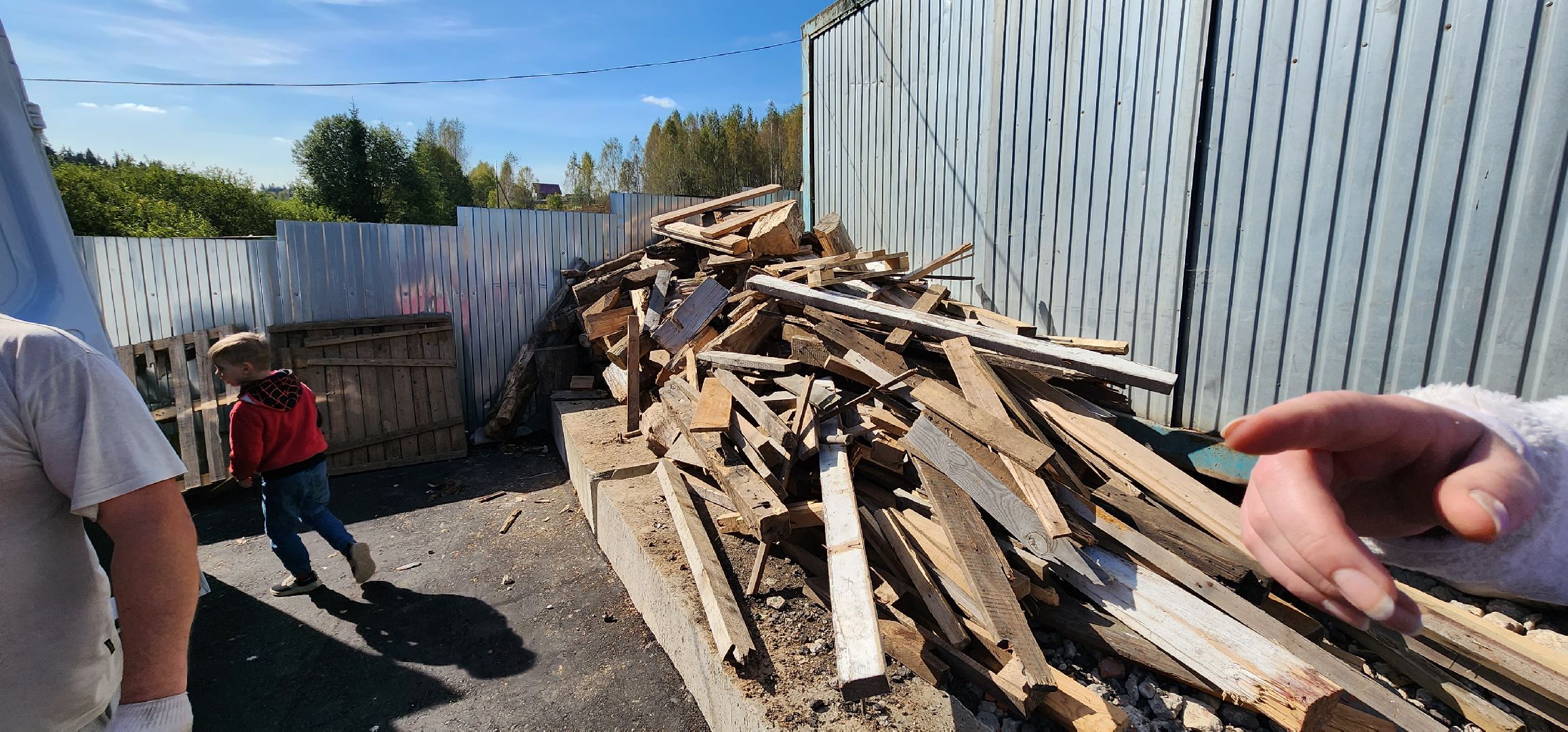 Пушкино, городской округ Пушкинский, Благотворительность, волонтеры, животные, люди, общество, приют для животных, Молодая гвардия,