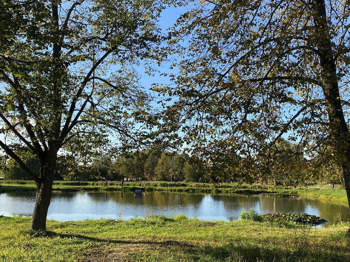 волоколамск, благоустойство, уборка улиц, деревья, субботник, жители города,