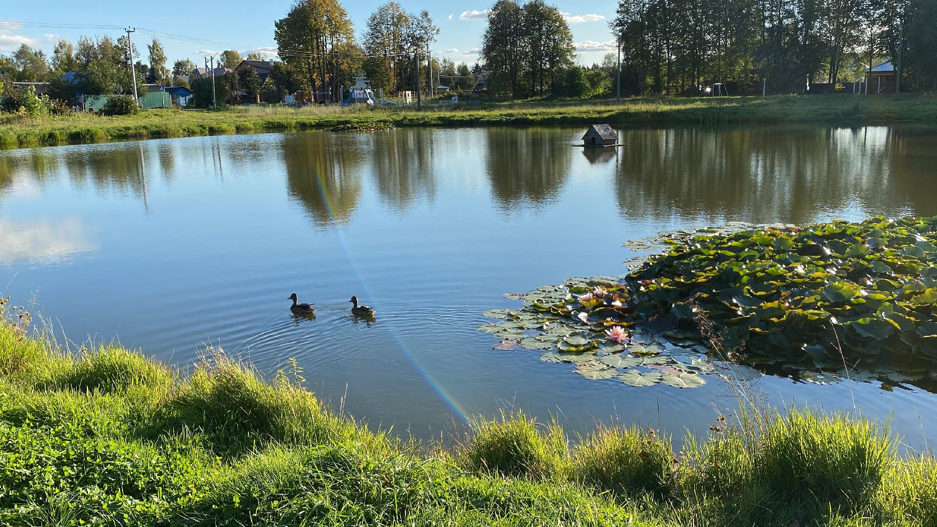 волоколамск, благоустойство, уборка улиц, деревья, субботник, жители города,