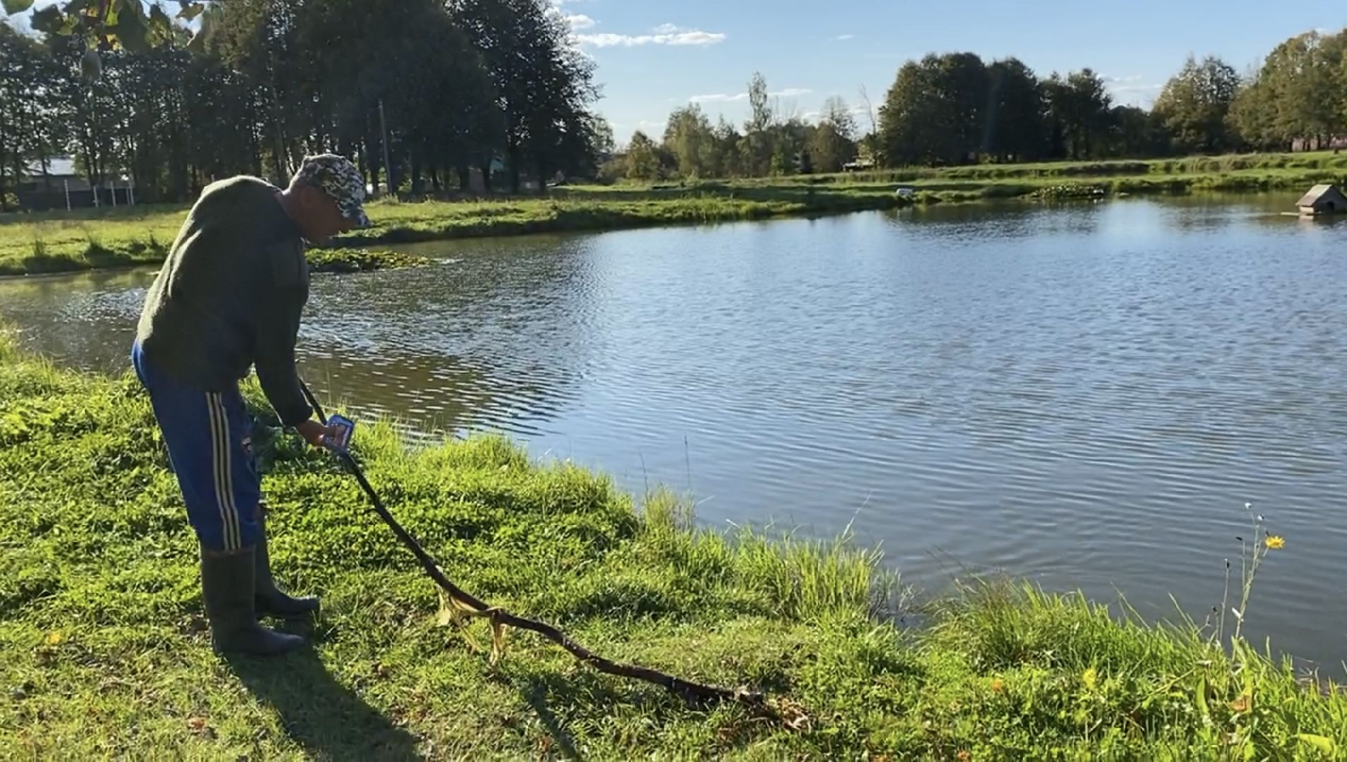волоколамск, благоустойство, уборка улиц, деревья, субботник, жители города,