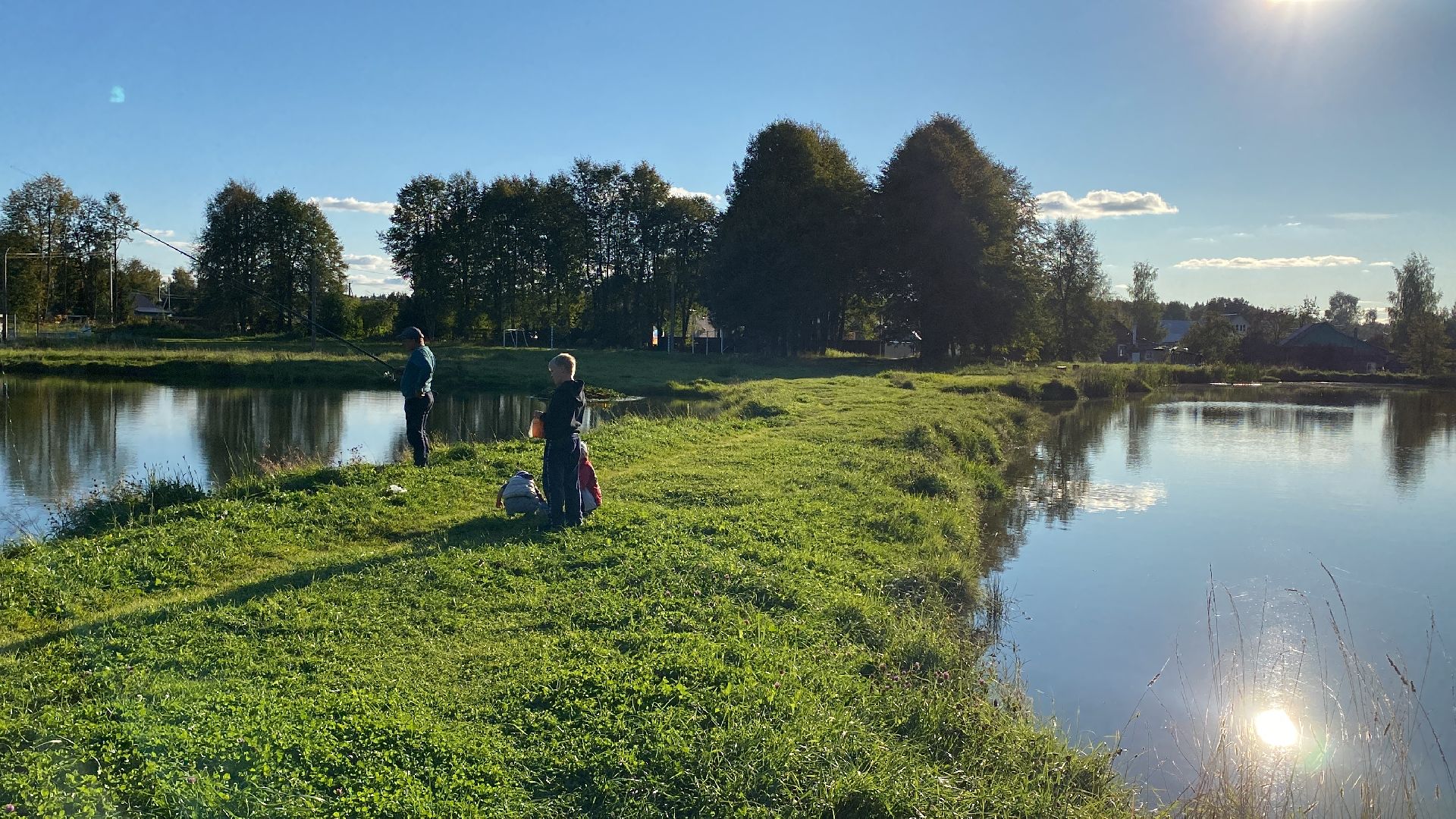 волоколамск, благоустойство, уборка улиц, деревья, субботник, жители города,