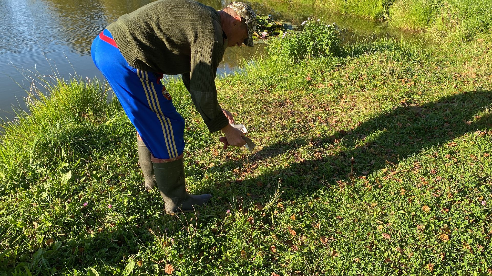 волоколамск, благоустойство, уборка улиц, деревья, субботник, жители города,