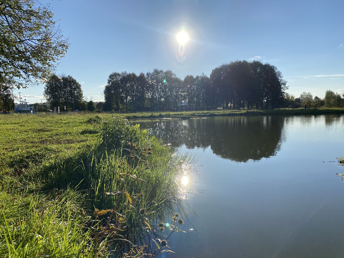 волоколамск, благоустойство, уборка улиц, деревья, субботник, жители города,