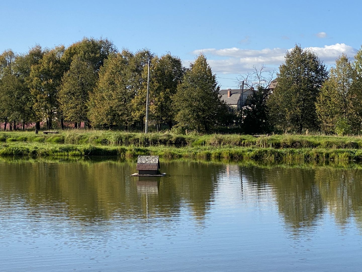 волоколамск, благоустойство, уборка улиц, деревья, субботник, жители города,