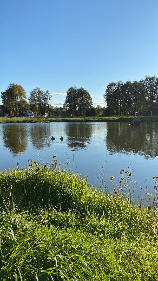 волоколамск, благоустойство, уборка улиц, деревья, субботник, жители города,