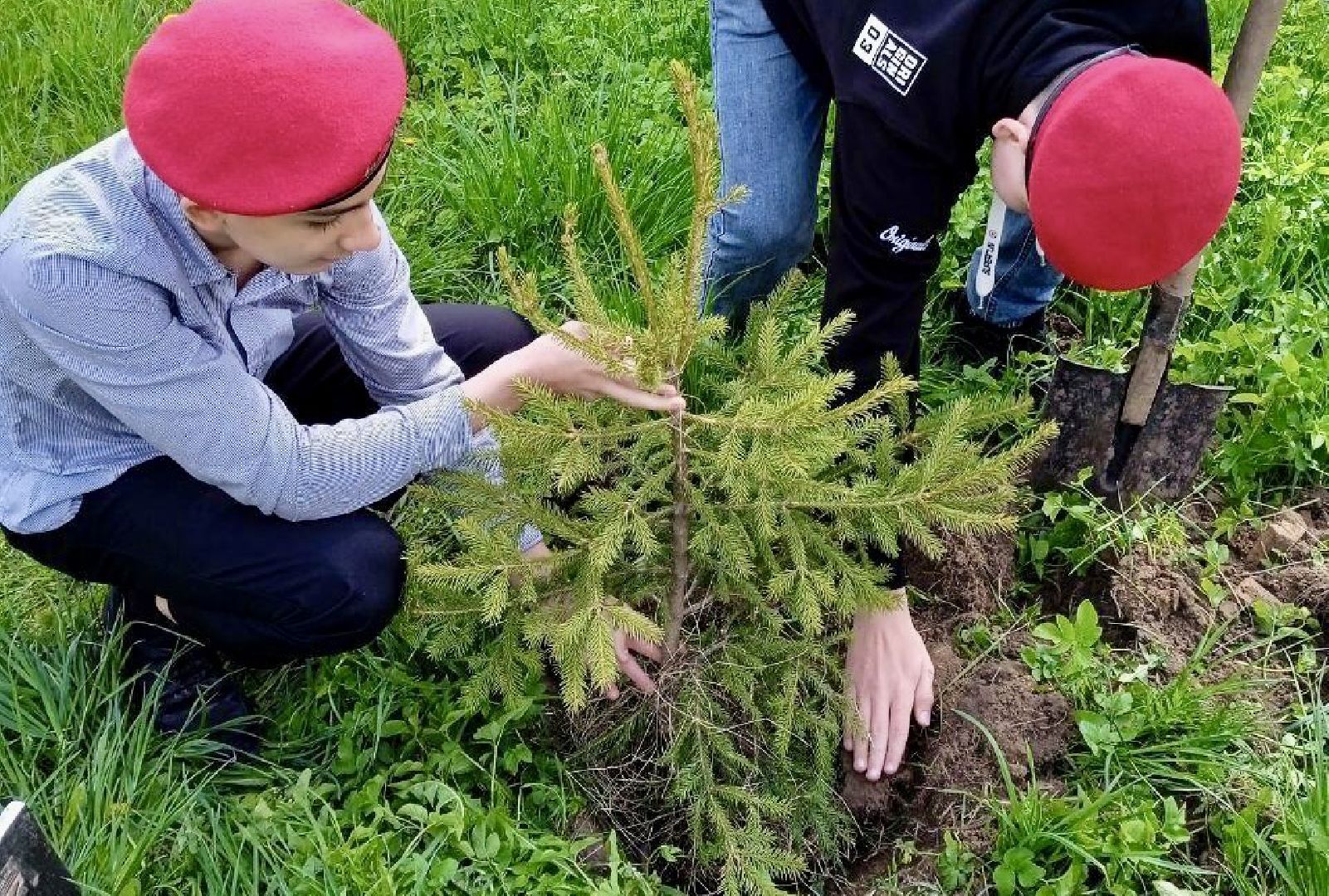 Клин, общество, экология, леса, акции,