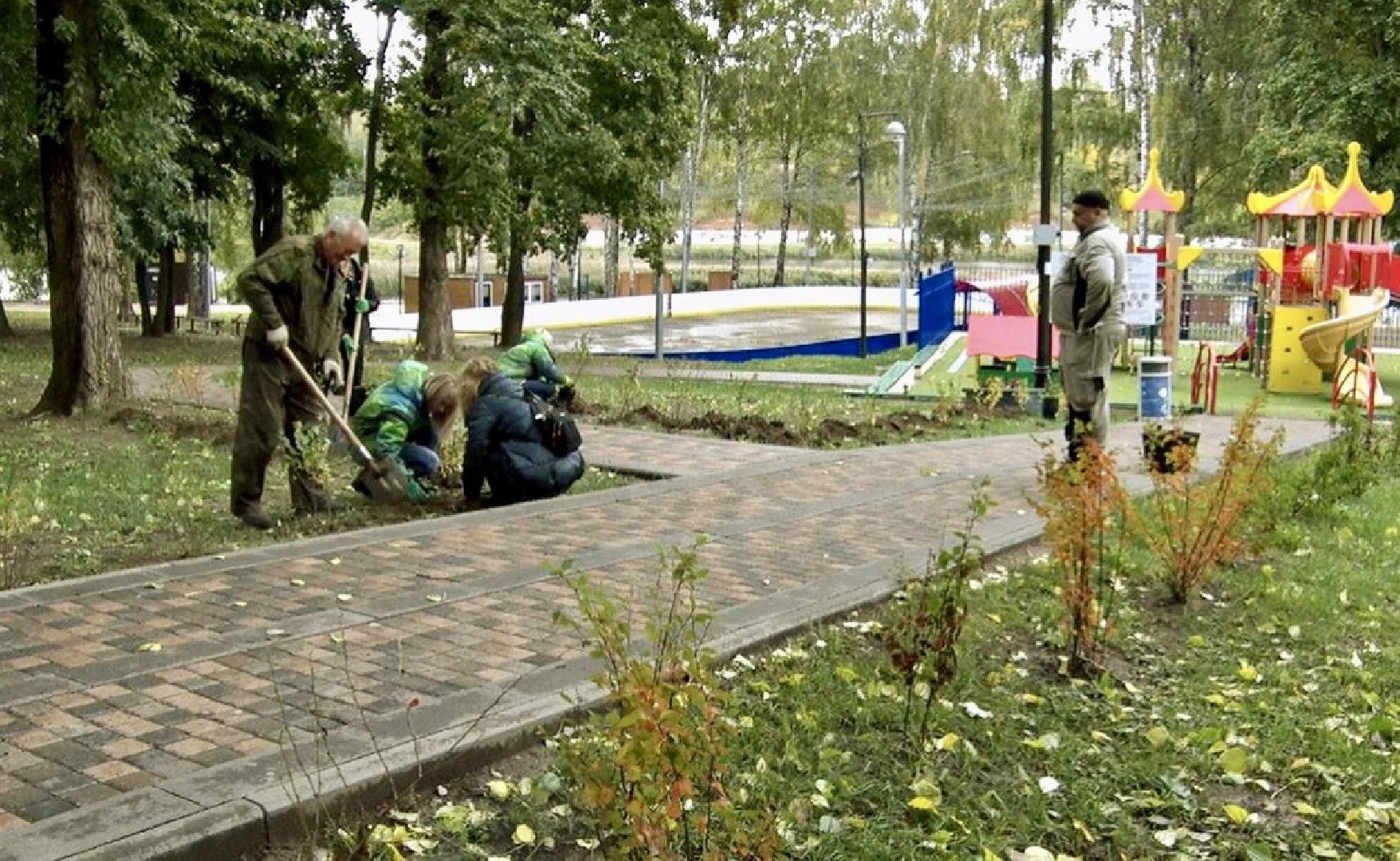 Клин, общество, экология, леса, акции,