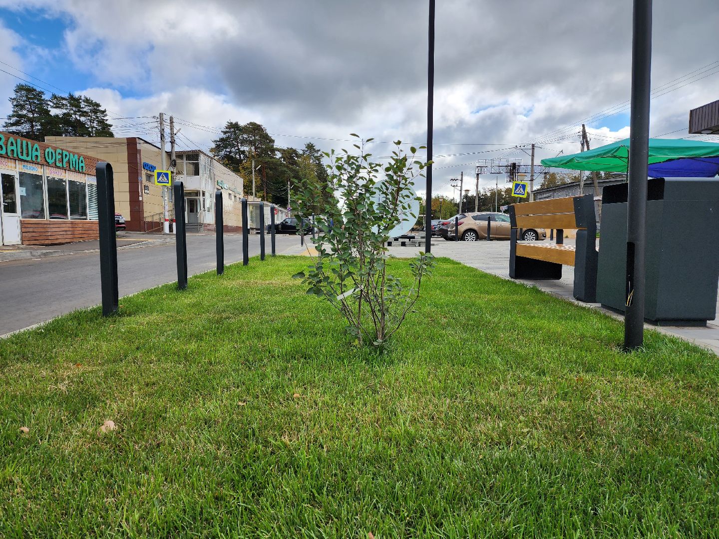 Раменское, транспорт, мцд-3, благоустройство, кратово,