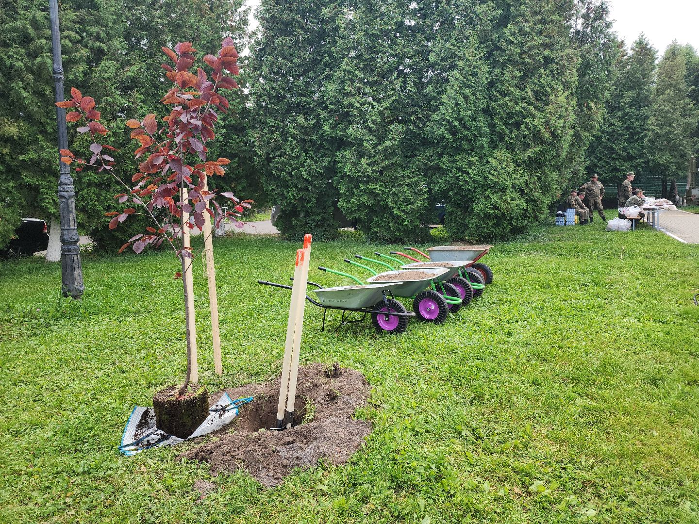 кашира, наш лес, благоустройство, экология,