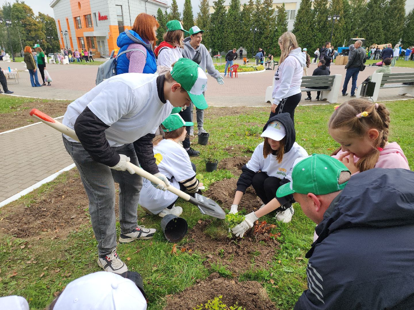 кашира, наш лес, благоустройство, экология,