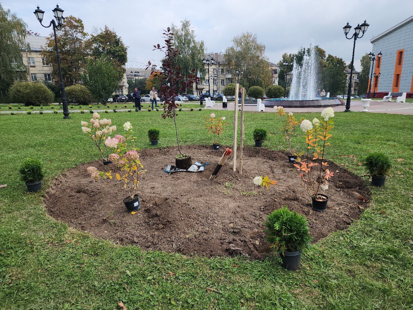 кашира, наш лес, благоустройство, экология,