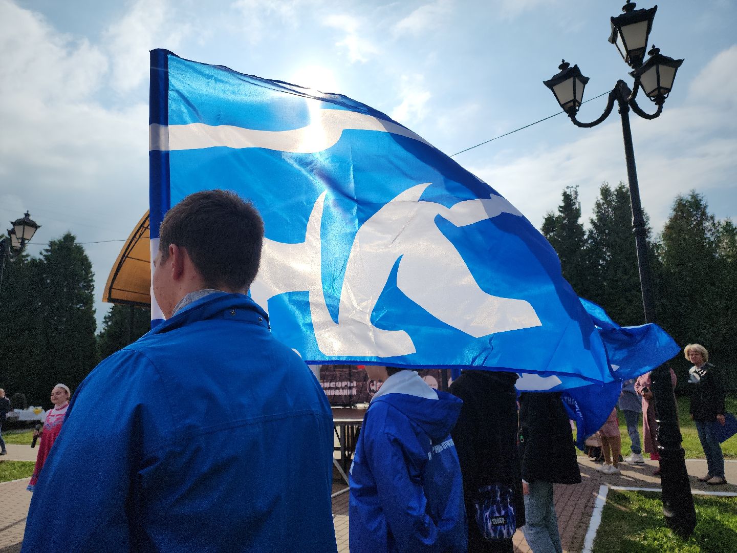 кашира, наш лес, благоустройство, экология,