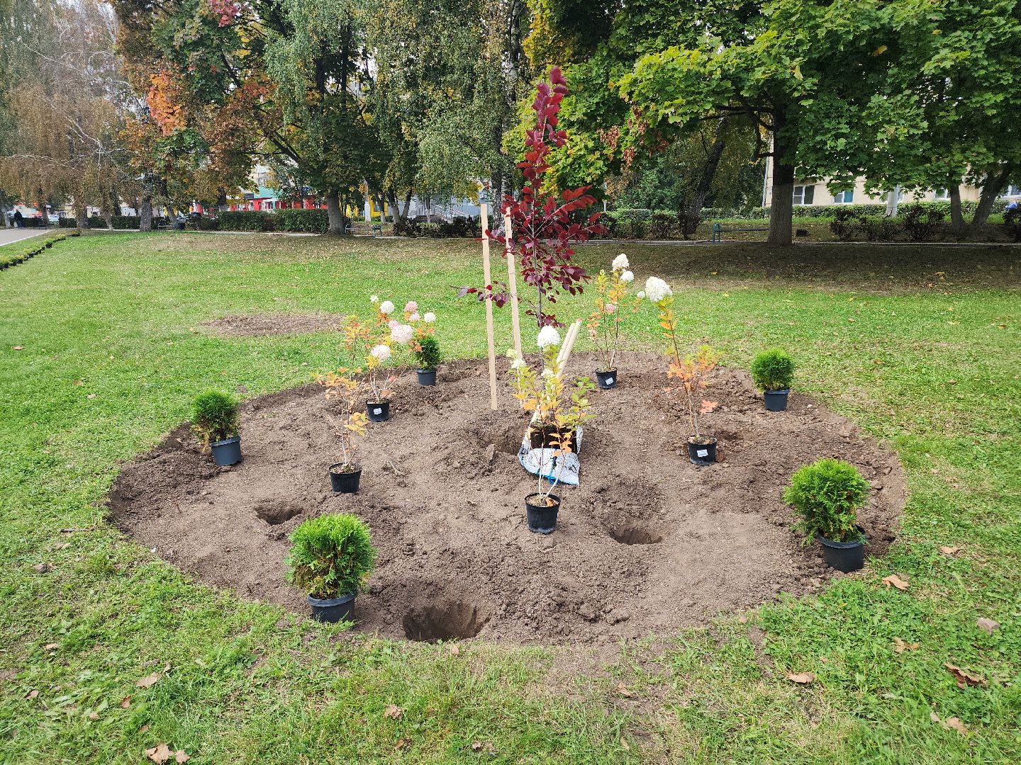 кашира, наш лес, благоустройство, экология,