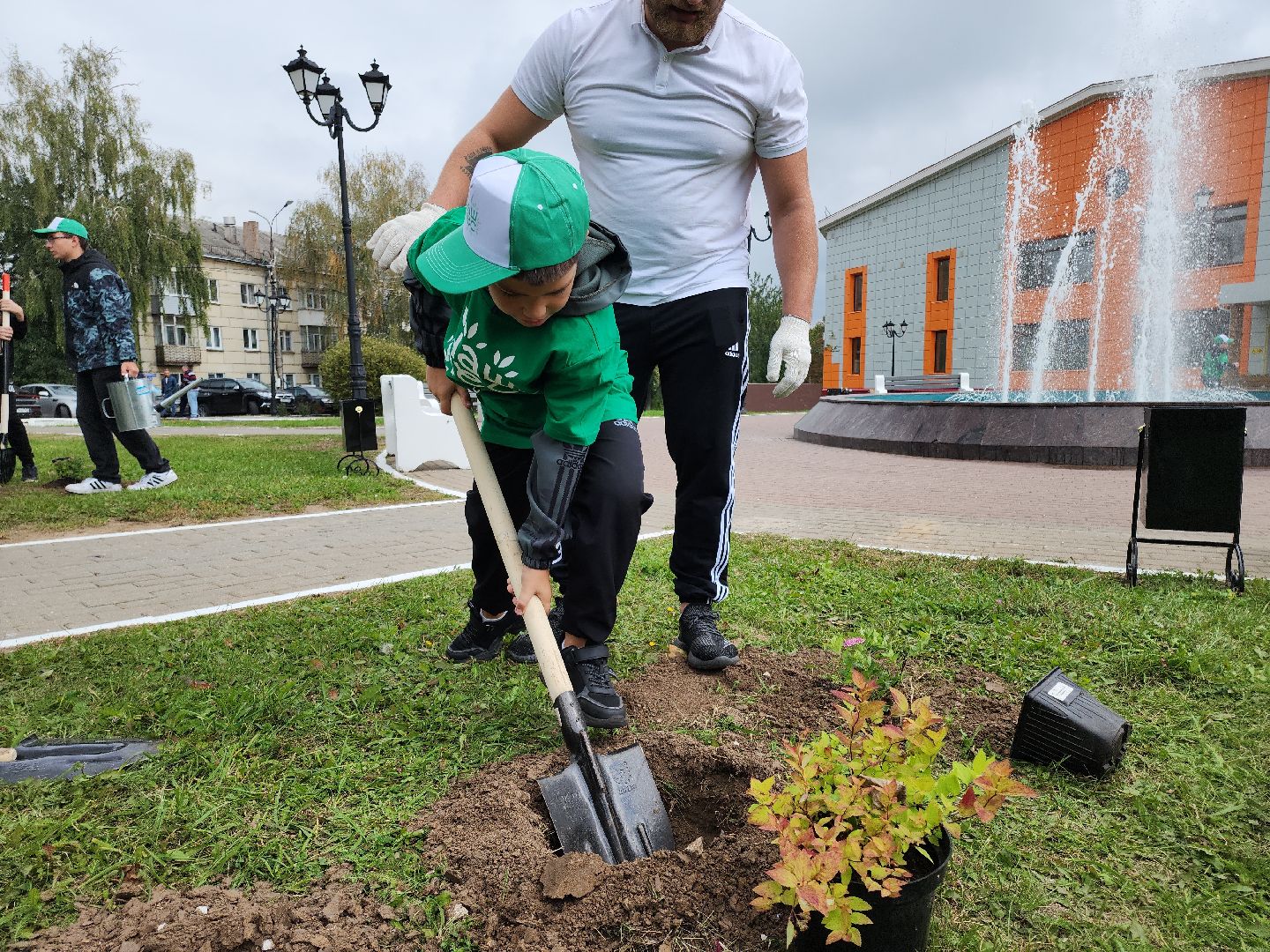 кашира, наш лес, благоустройство, экология,