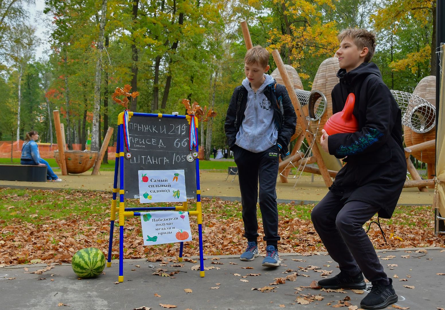 Ступино, осенний разгуляй, парки подмосковья,