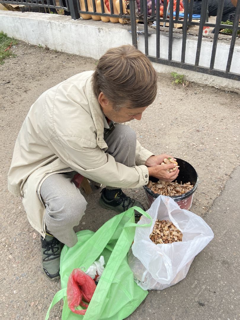 грибной сезон, грибы, врач,