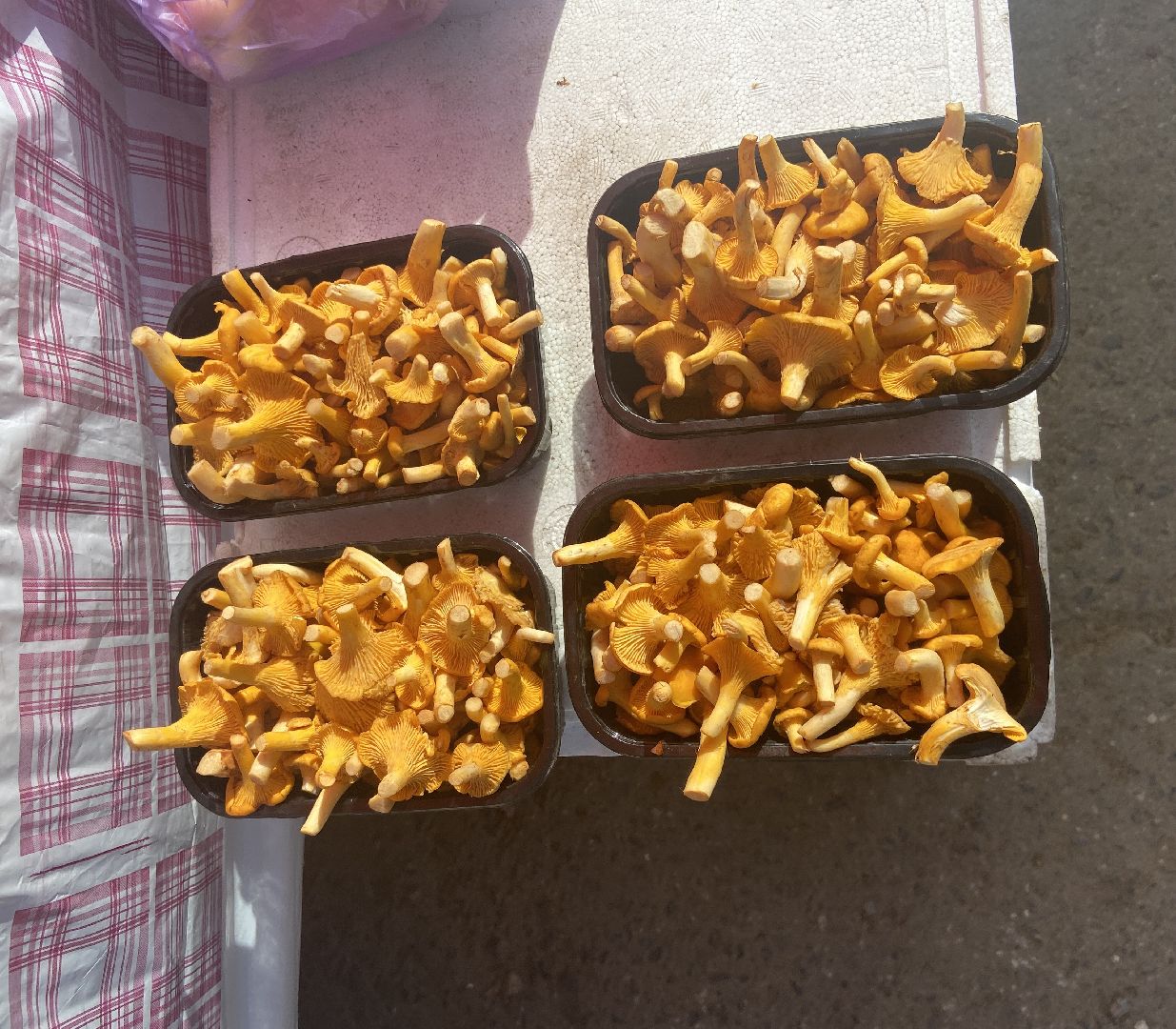 грибной сезон, грибы, врач,