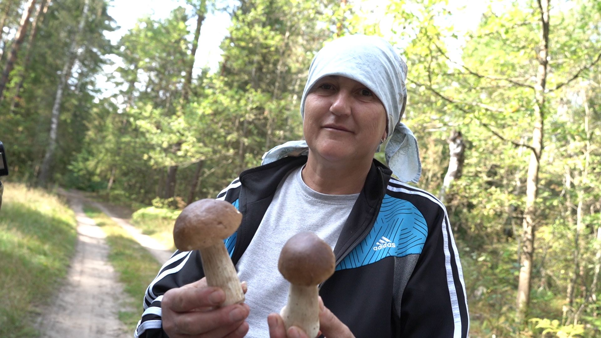 грибы, грибной сезон, Шатура,