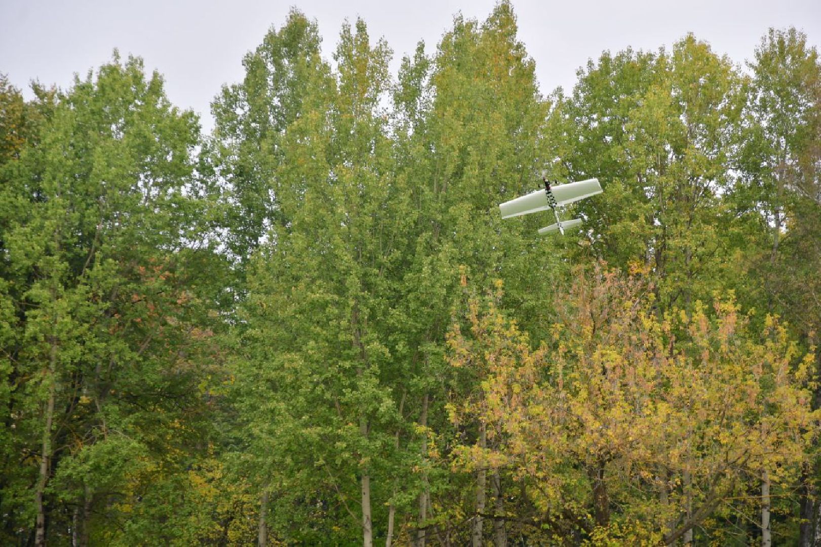 чемпионат по авиамодельному спорту, Ступино, парки подмосковья,