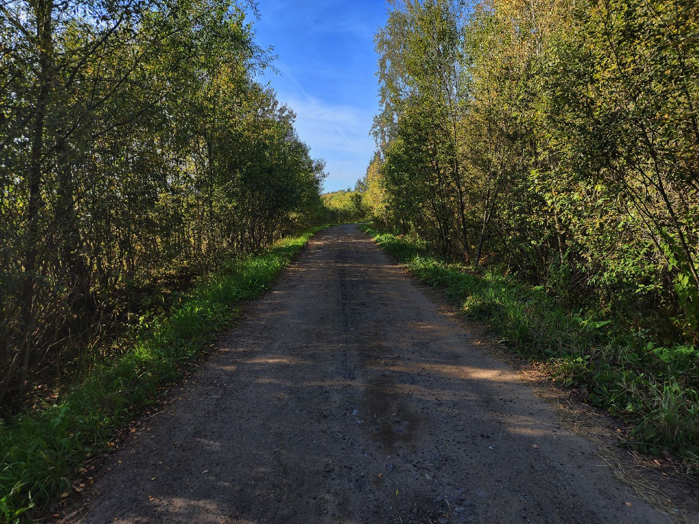 Павловский Посад, Городской округ Павловский Посад, Люди, Церковь, Мистика, Деревня,