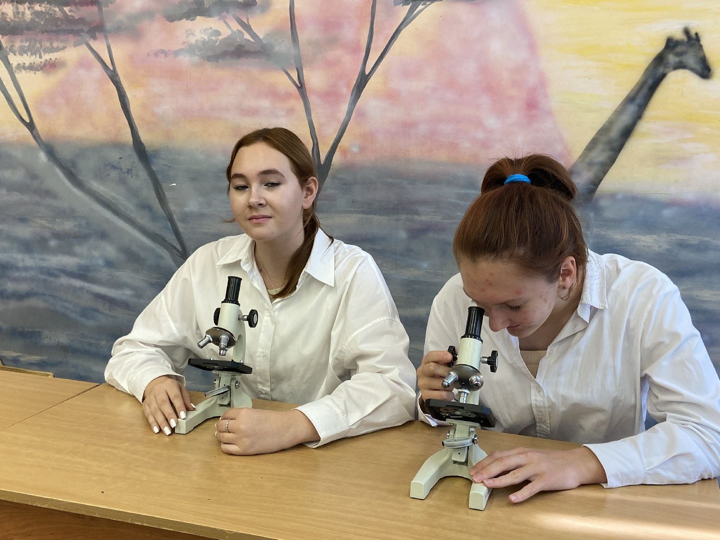 школа, ученики, воспитание,