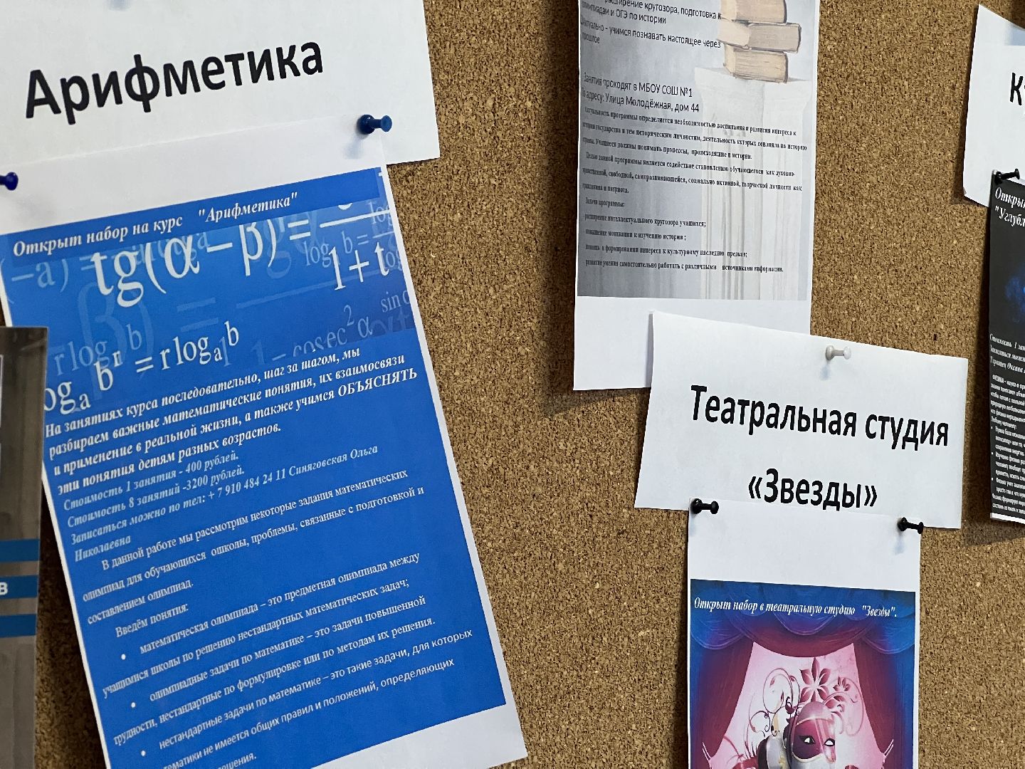 химки, школа, образование, дополнительное образование,